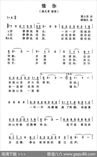 懂你（黄小茂词薛瑞光曲） - 黄小茂|薛瑞光