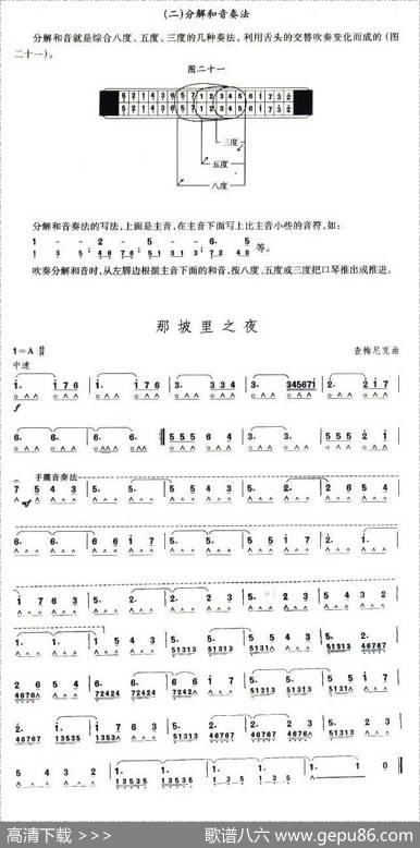 考级十级曲目：那坡里之夜