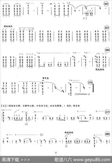 孔雀东南飞|杨洁明