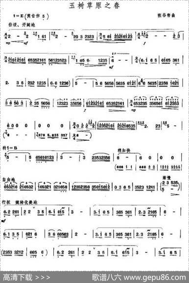 玉树草原之春
