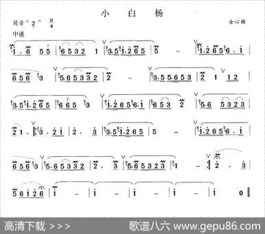 小白杨|士心