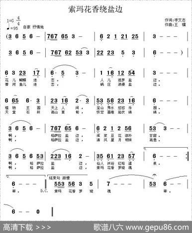 索玛花香绕盐边 - 李文志|王镭