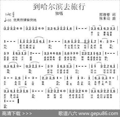 到哈尔滨去旅行 - 郑迎春|张朱论