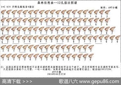 森林狂想曲（12孔陶笛谱）
