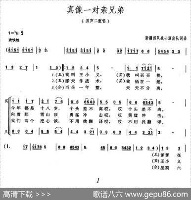 真像一对亲兄弟