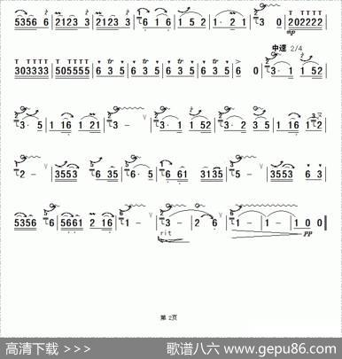 湖边的孔雀.|杨正玺