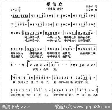 爱情鸟 - 张海宁|张全复