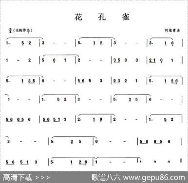 花孔雀|何维青