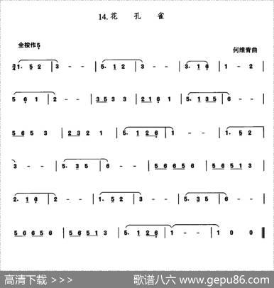 花孔雀|何维青