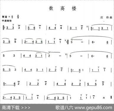 数高楼|汪玲