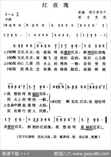 红玫瑰（塔吉克族民歌）