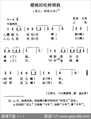 樱桃好吃树难栽（花儿·好花儿令）
