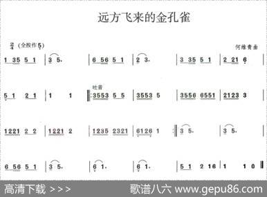 远方飞来的金孔雀|何维青