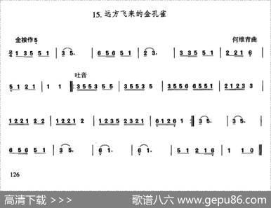 远方飞来的金孔雀|何维青