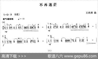 不再迷茫|王莉莉