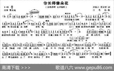 你长得像朵花 - 刘保元、莫义明|吉冬乐