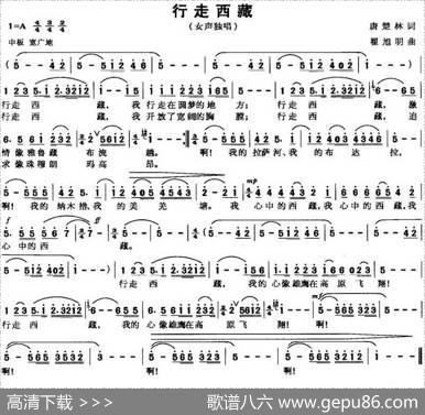 行走西藏 - 唐楚林|翟旭明