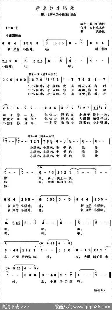 [美]新来的小猫咪