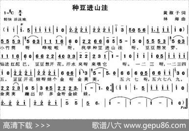 种豆进山洼 - 黄淑子|林海