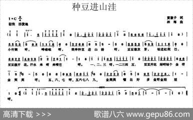 种豆进山洼 - 黄淑子|林海