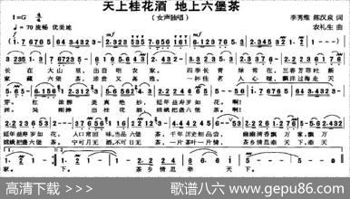 天上桂花潭地上六堡茶 - 李秀维、陈汉泉|农礼生