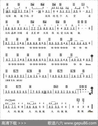 大地靓靓