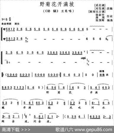 野菊花开满坡（《补锅》兰英唱段）