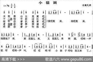 小猫调