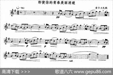 即使你的青春美丽消逝|爱尔兰民歌