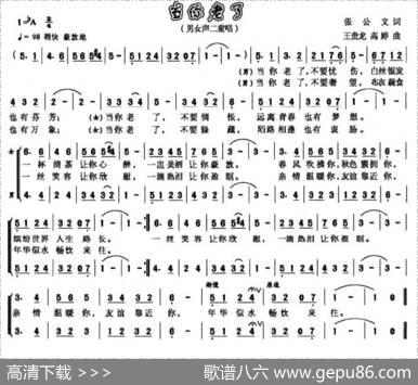当你老了（张公文词王贵龙高婷曲） - 张公文|王贵龙、高婷