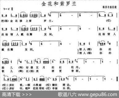 金花和紫罗兰|新疆维吾尔族民歌