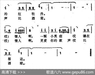 金花和紫罗兰|新疆维吾尔族民歌