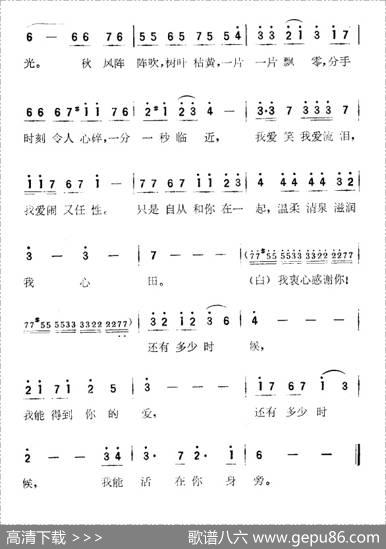 [日]感谢你（电视剧《血疑》主题歌） - 千家和也|都仓俊一
