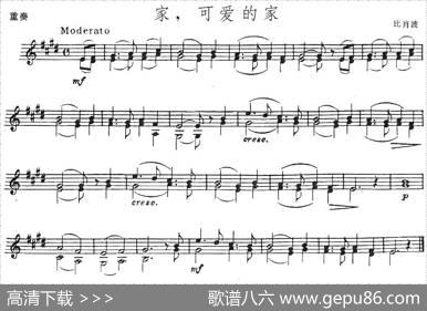 家，可爱的家（小提琴二重奏）