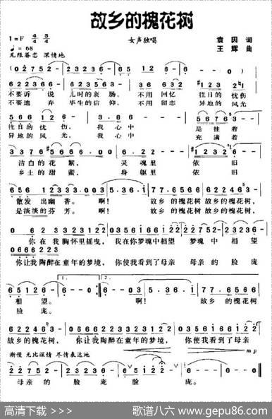故乡的槐花树 - 袁因|王辉