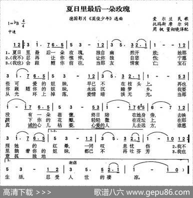 夏日里最后一朵玫瑰（爱尔兰）