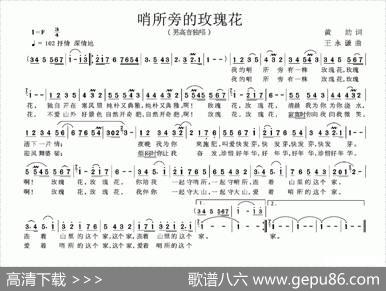 哨所旁的玫瑰花 - 黄劼|王永谦