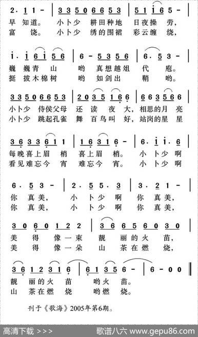 傣族小卜少 - 刘汉儒|姜金富