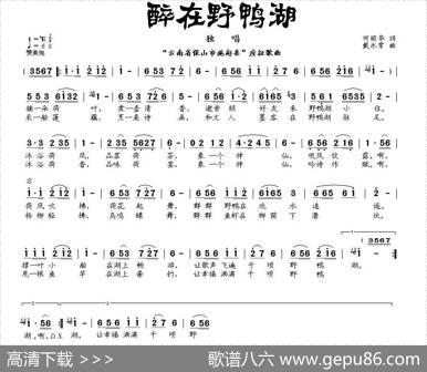醉在野鸭湖（何丽华词戴永常曲） - 何丽华|戴永常