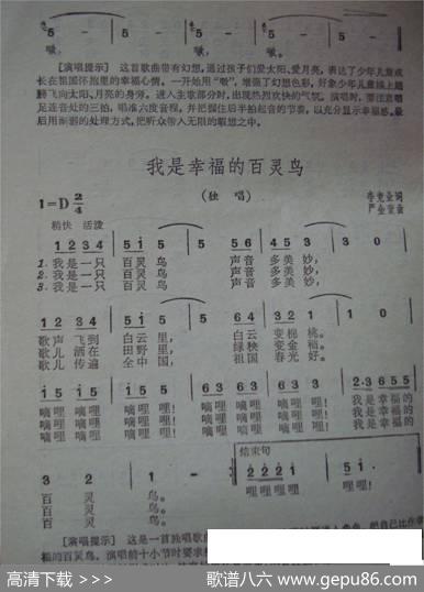 我爱太阳，我爱月亮（少年歌曲） - 王森|金苗苓