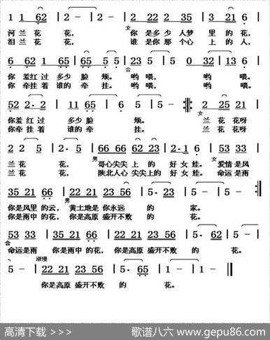 心尖尖上的兰花花 - 杨东红|米宜依