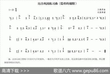 隐形的翅膀 - 王雅君|王雅君