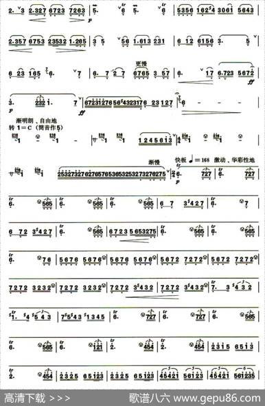 幽兰逢春|赵松庭曹星