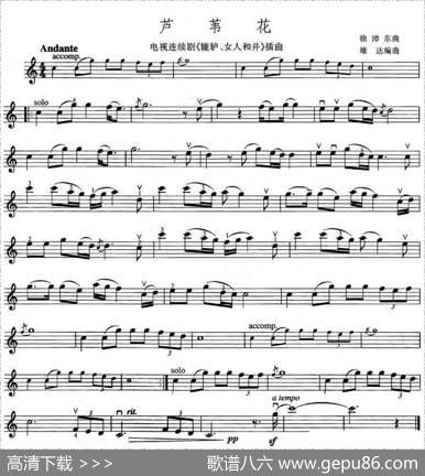芦苇花（电视剧《辘轳、女人和井》插曲）|徐沛东