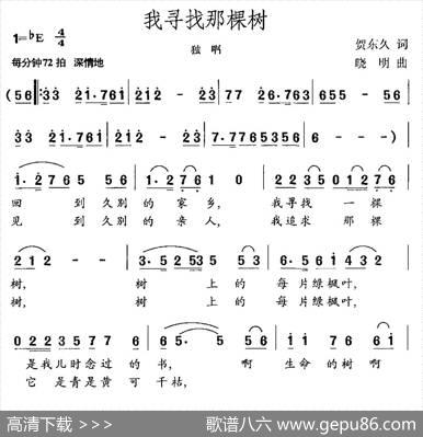 我寻找那棵树 - 贺东久|晓明