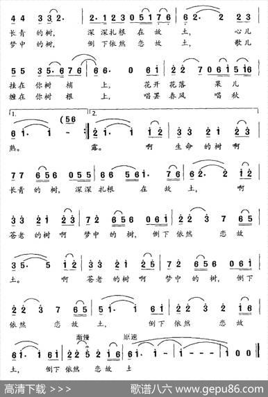 我寻找那棵树 - 贺东久|晓明