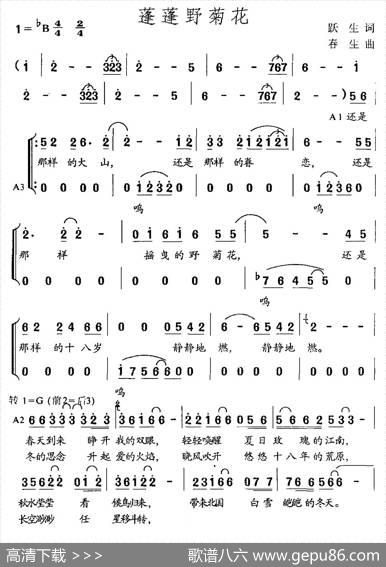 蓬蓬野菊花 - 跃生|春生