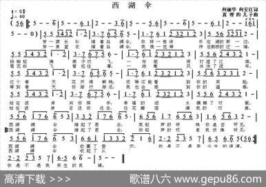 西湖伞（又名：西湖绸伞） - 何丽华何安江|真理的儿子