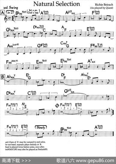NaturalSelection（爵士钢琴曲）
