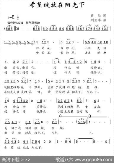 希望绽放在阳光下 - 黄灿|刘安华